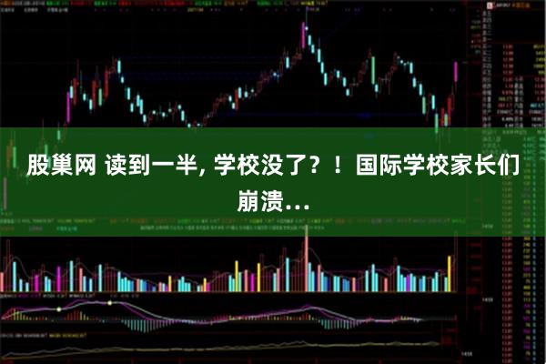 股巢网 读到一半, 学校没了?!国际学校家长们崩溃…